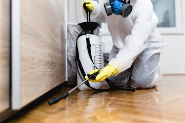 Best Local Pest Control Services  in San Jose, CA