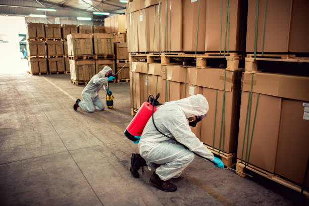 Best Best Pest Control Companies  in San Jose, CA