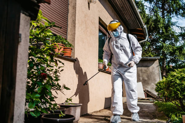 Best Pest Control for Businesses  in San Jose, CA