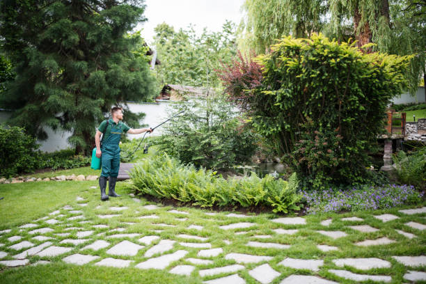 Best Wasp Removal Services  in San Jose, CA