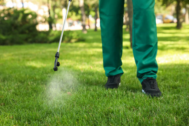 Best Termite Control Services  in San Jose, CA