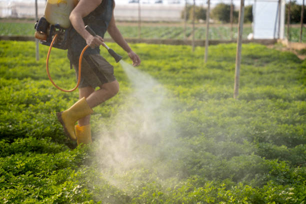 Best Mosquito Control Services  in San Jose, CA
