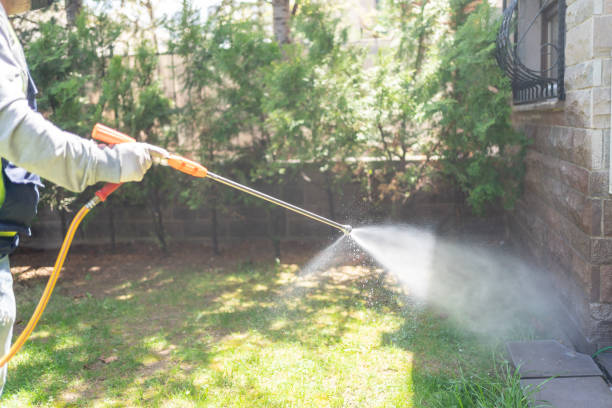 Best Flea Control Services  in San Jose, CA