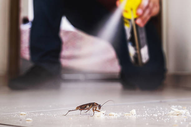 Best Pest Removal Services  in San Jose, CA