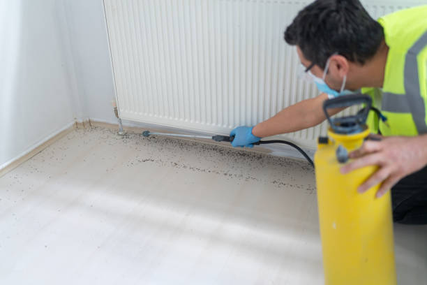 Trusted San Jose, CA Pest Control Experts